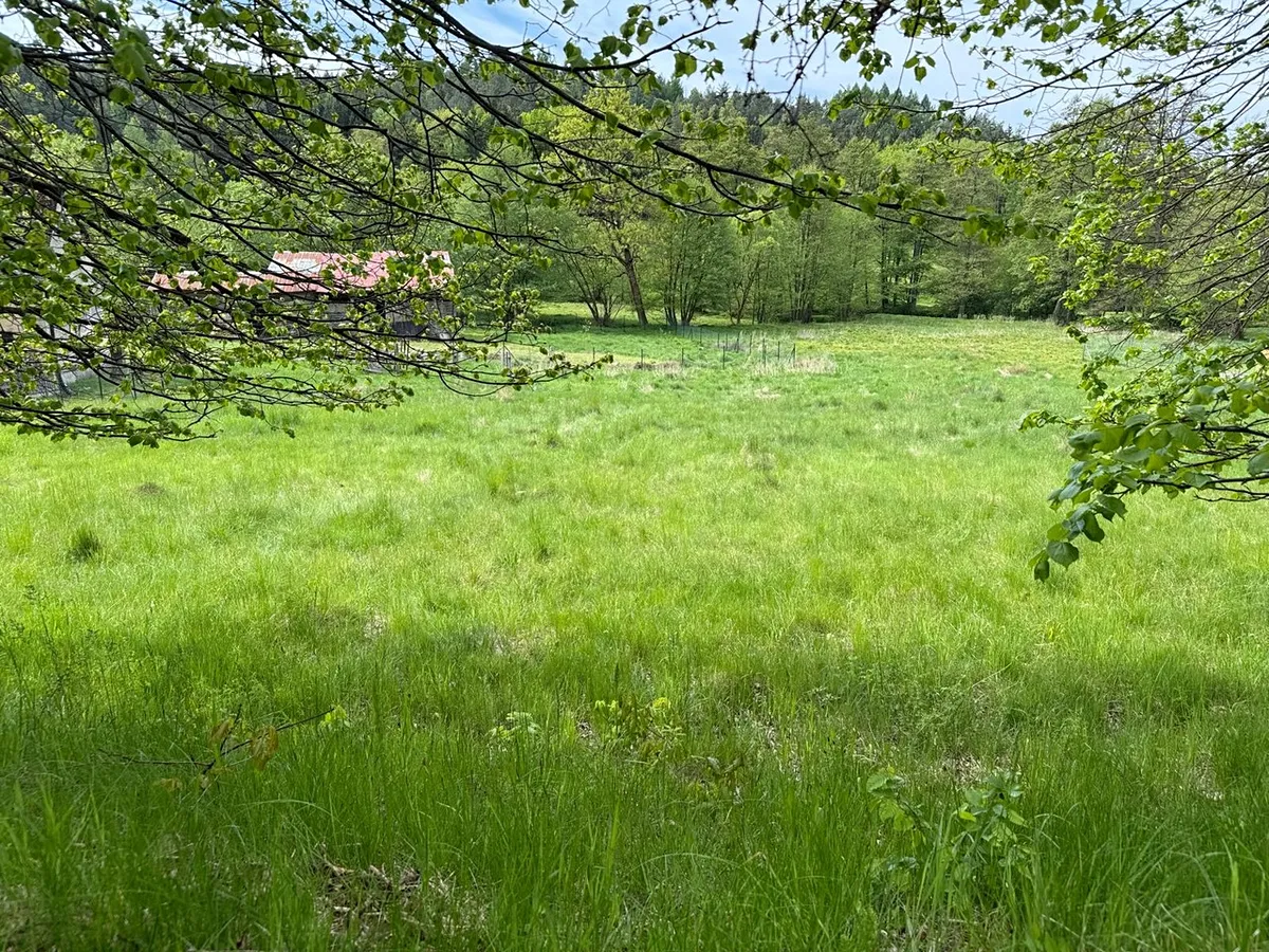 Prodej stavebního pozemku 1186 m²